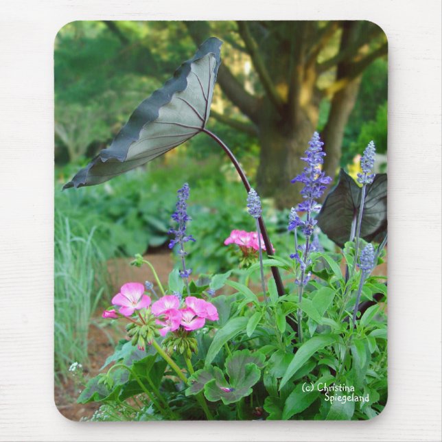 Flowers Geraniums Mousepad (Front)