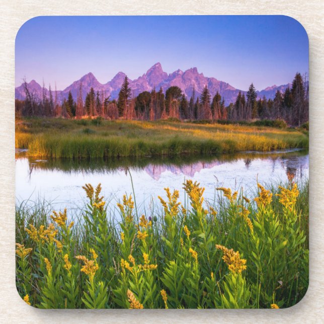 Flowers | Grand Teton National Park, Wyoming Beverage Coaster (Front)