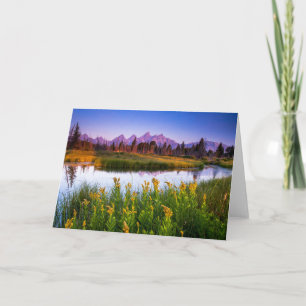 Flowers Grand Teton National Park, Wyoming Card