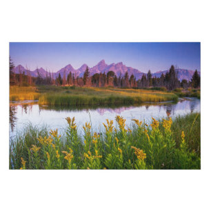Flowers   Grand Teton National Park, Wyoming Faux Canvas Print
