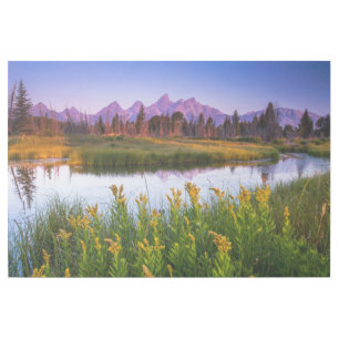 Flowers   Grand Teton National Park, Wyoming Gallery Wrap