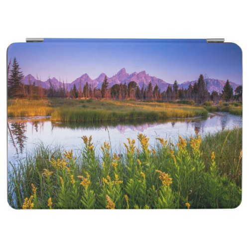Flowers  Grand Teton National Park Wyoming iPad Air Cover
