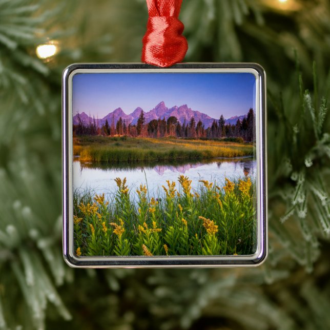 Flowers | Grand Teton National Park, Wyoming Metal Ornament (Tree)