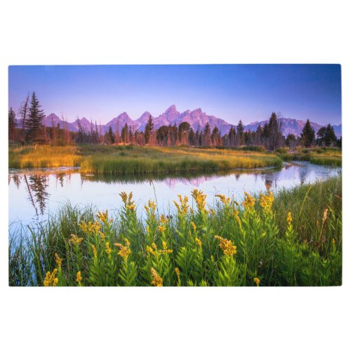 Flowers  Grand Teton National Park Wyoming Metal Print