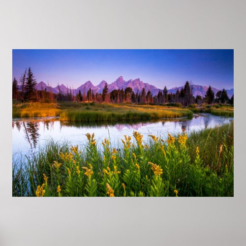 Flowers  Grand Teton National Park Wyoming Poster