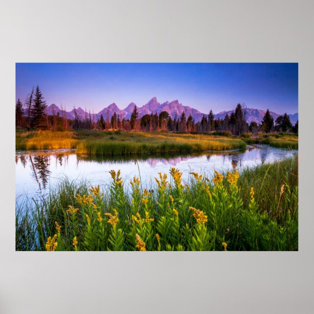 Flowers | Grand Teton National Park, Wyoming Poster (Front)