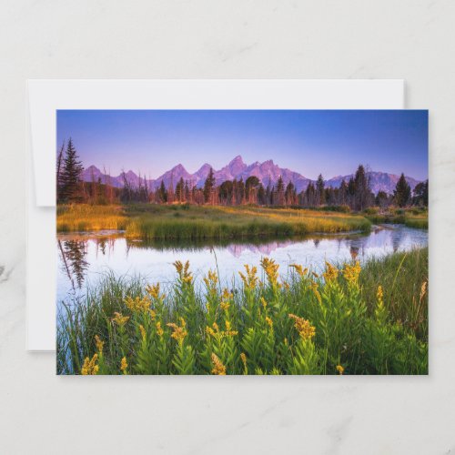 Flowers  Grand Teton National Park Wyoming Thank You Card