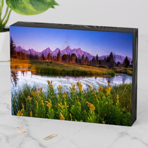 Flowers  Grand Teton National Park Wyoming Wooden Box Sign
