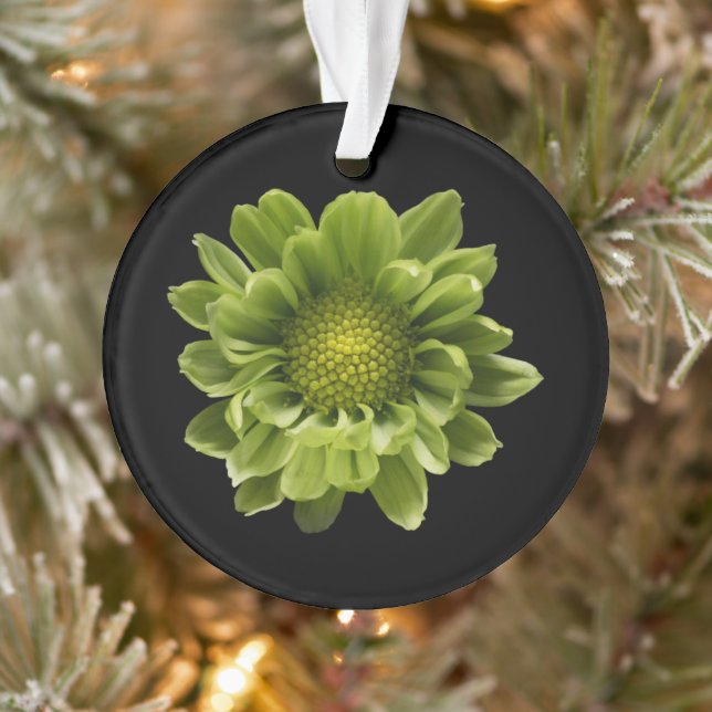 Flowers | Green Chrysanthemum Ornament (Tree)