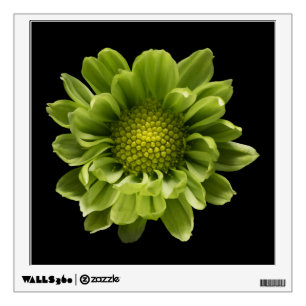 Flowers Green Chrysanthemum Wall Decal