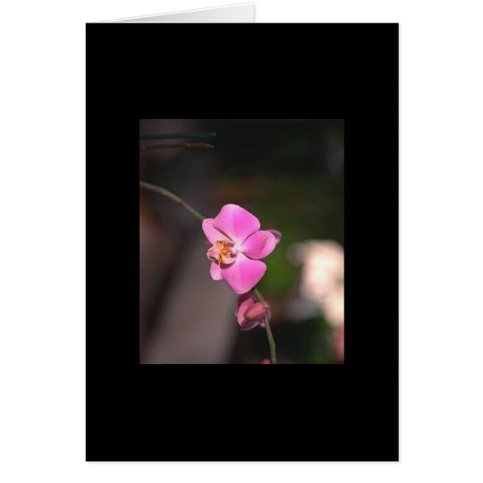 Flowers Greeting Card
