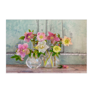 Flowers Hellebores in Vases Acrylic Print