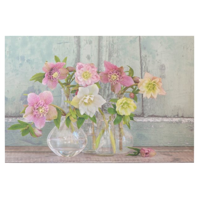 Flowers | Hellebores in Vases Gallery Wrap (Front)