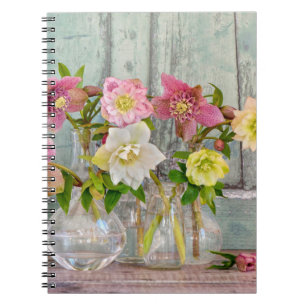 Flowers Hellebores in Vases Notebook