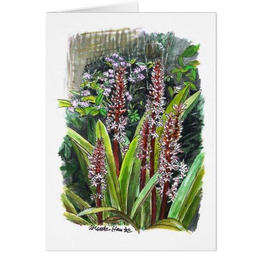 Flowers in a garden cards (Front)
