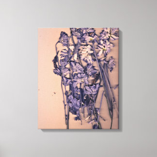 Flowers in a pink light canvas print