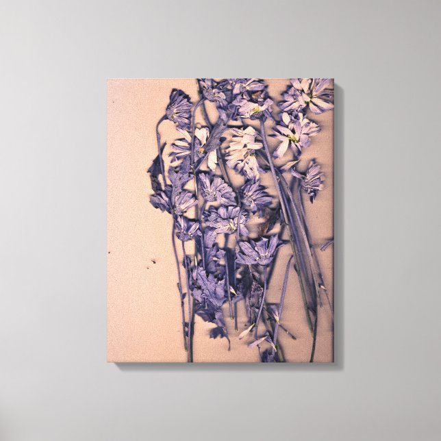 Flowers in a pink light canvas print (Front)