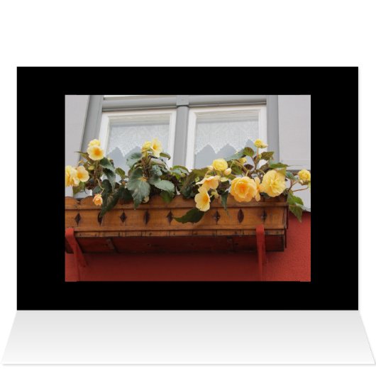 Flowers in a Window Box (Inside Horizontal (Top))