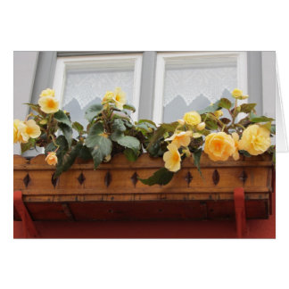 Flowers in a Window Box Cards