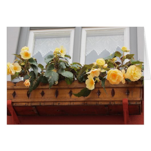 Flowers in a Window Box Cards (Front Horizontal)