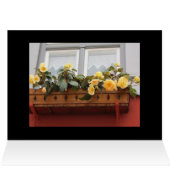 Flowers in a Window Box Cards (Inside Horizontal (Top))