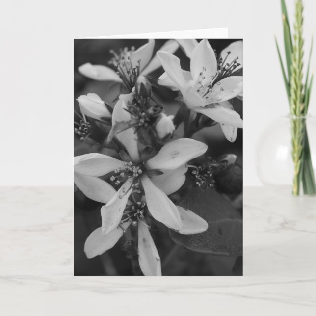 Flowers in Black and White Card (Front)