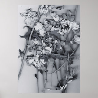Flowers in Black and White Poster