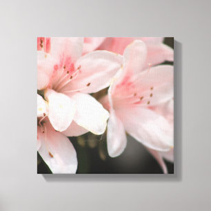 Flowers in Bloom Canvas Print
