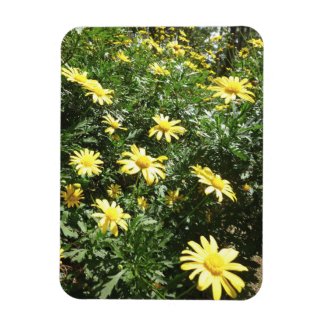 Flowers in Bloom Fridge Magnet