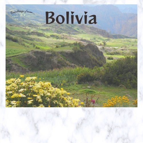 Flowers in Bloom Valley of the Souls Bolivia Postcard