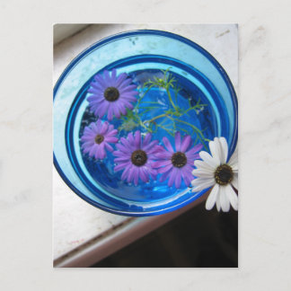 Flowers in Blue Pool Postcard