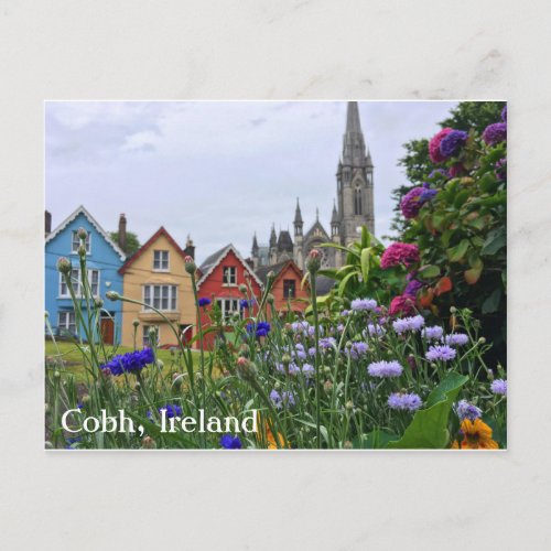 Flowers in Cobh Ireland Postcard