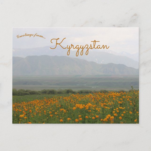 Flowers in Kyrgyzstan Postcard (Front)