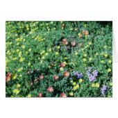 flowers in mexico (Front Horizontal)