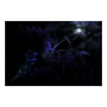 Flowers in Moonlight