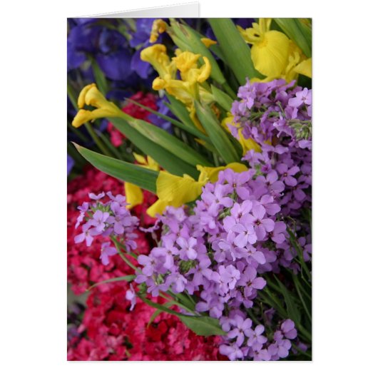 Flowers in Multiple Colors (Front)