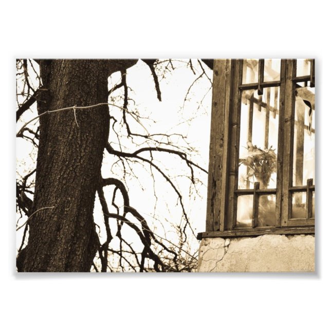 Flowers in Old House Photo Print (Front)