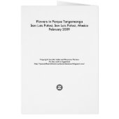Flowers in Parque Tangamanga Cards (Back)