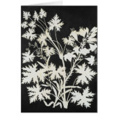 Flowers in Silhouette (Front)