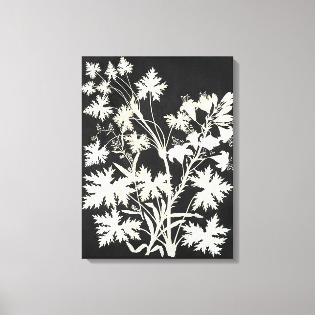 Flowers in Silhouette Canvas Print (Front)