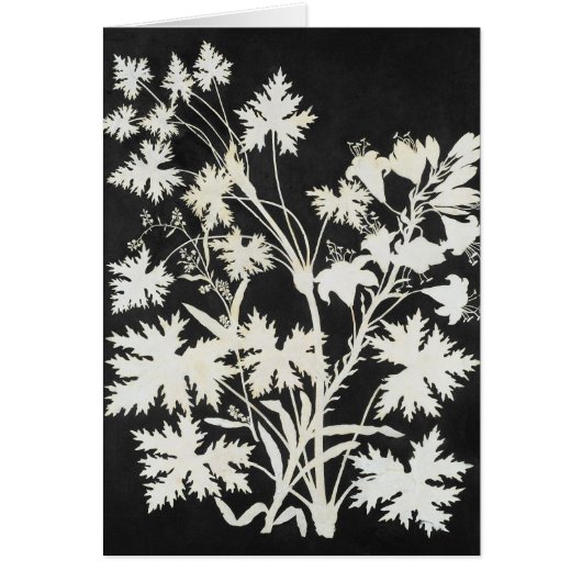 Flowers in Silhouette Cards (Front)