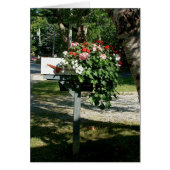 Flowers in the Mail (Front)