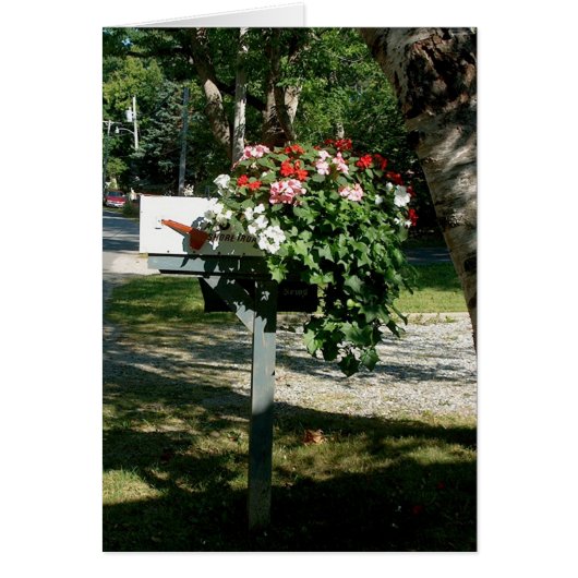 Flowers in the Mail Cards (Front)