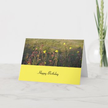Flowers In The Meadow Birthday Card by Pictural at Zazzle