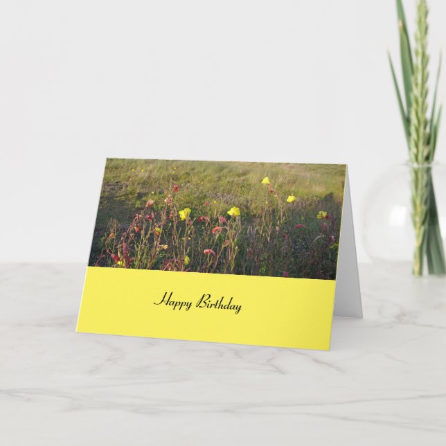 Flowers in the meadow Birthday Card (Front)