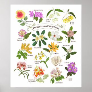 Flowers in the Philippines Poster