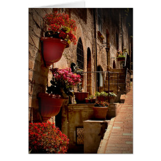 Flowers in the Street Assisi Italty Cards