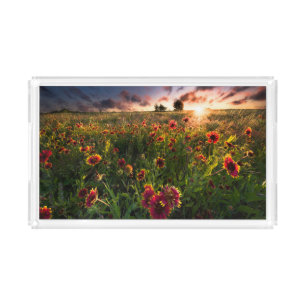 Flowers Indian Blanket Wildflower Texas Acrylic Tray