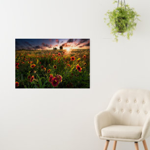 Flowers   Indian Blanket Wildflower Texas Foam Board