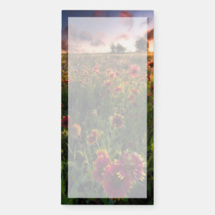 Flowers   Indian Blanket Wildflower Texas Magnetic Notepad